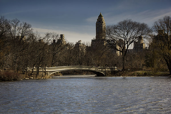 Central Park taken with DSLR