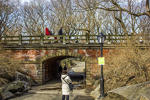 Central park NY
